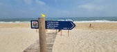 Enlarge photo 374