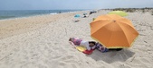 Enlarge photo 378
