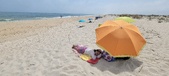 Enlarge photo 379