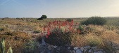 Enlarge photo 383