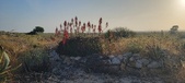Enlarge photo 384