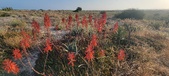 Enlarge photo 386