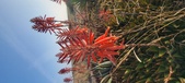 Enlarge photo 387