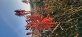 Enlarge photo 388