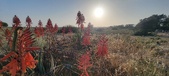 Enlarge photo 389