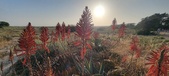 Enlarge photo 391