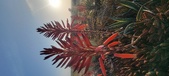 Enlarge photo 392