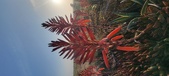 Enlarge photo 393
