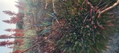 Enlarge photo 394
