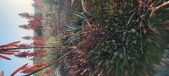 Enlarge photo 395