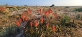 Enlarge photo 396