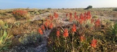 Enlarge photo 397