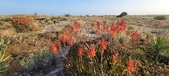 Enlarge photo 398