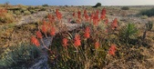 Enlarge photo 399