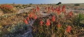 Enlarge photo 400