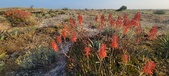 Enlarge photo 401