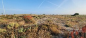 Enlarge photo 402