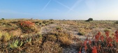 Enlarge photo 403