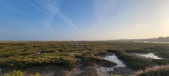 Enlarge photo 404