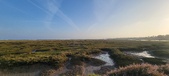 Enlarge photo 405