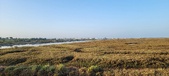 Enlarge photo 409
