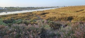Enlarge photo 412