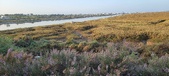 Enlarge photo 413