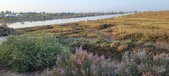 Enlarge photo 414