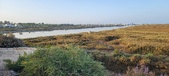Enlarge photo 415