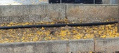 Enlarge photo 431
