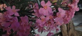 Enlarge photo 126