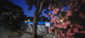 Enlarge photo 128