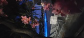 Enlarge photo 131