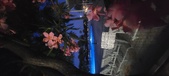 Enlarge photo 130