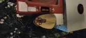 Enlarge photo 144