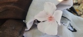 Enlarge photo 155