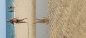 Enlarge photo 173