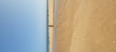 Enlarge photo 176