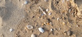Enlarge photo 182