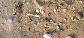 Enlarge photo 183