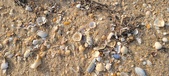 Enlarge photo 186