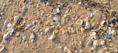 Enlarge photo 187