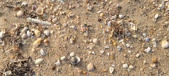 Enlarge photo 191