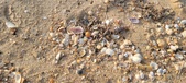 Enlarge photo 190