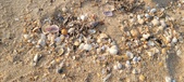 Enlarge photo 189