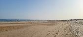 Enlarge photo 195