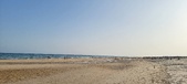 Enlarge photo 196