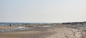Enlarge photo 198