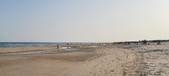 Enlarge photo 199