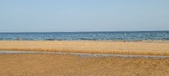 Enlarge photo 203